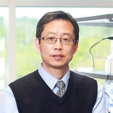 Hedong Li