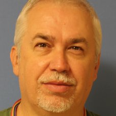 David W Stepp